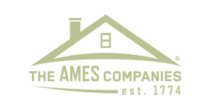 logo_ames_home_750