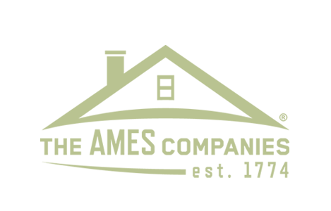 logo-home-ames